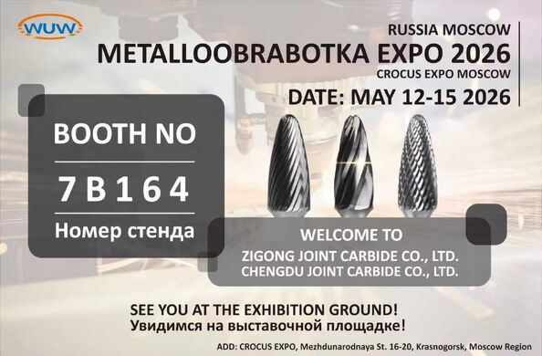 quality Carbide Rotary Burr factory